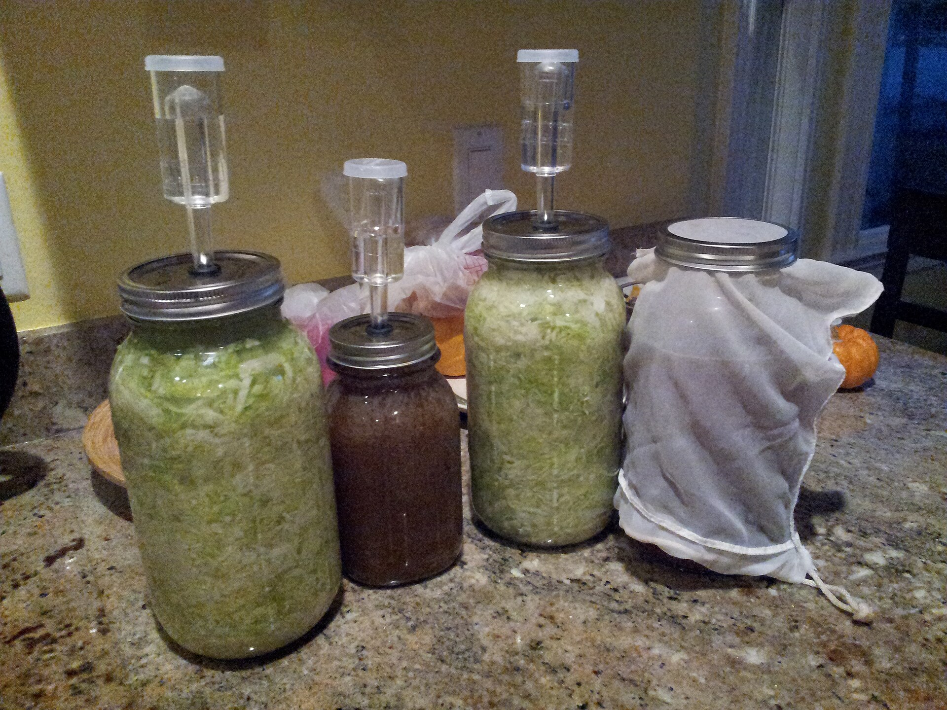Cabbage fermenting into sauerkraut in a glass jar.